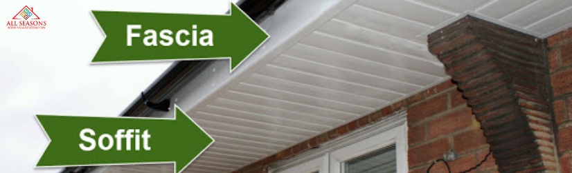 Siding & Fascia Replacement Denver